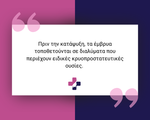 Κρυοσυντήρηση εμβρύων